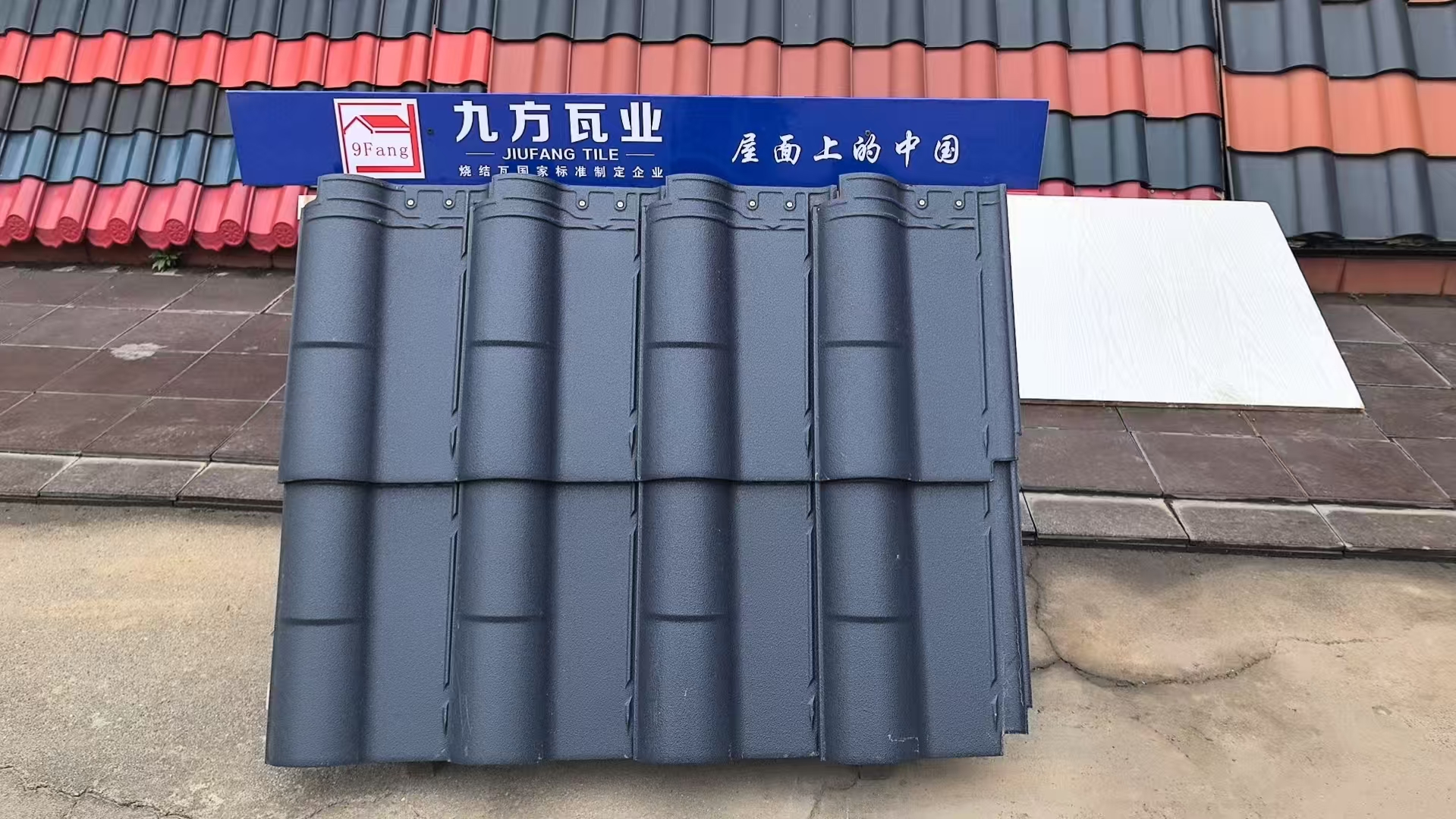 888集团摘要2025第11期